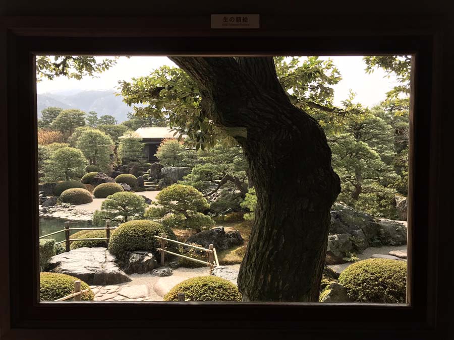 giappone-tour-adachi-museo