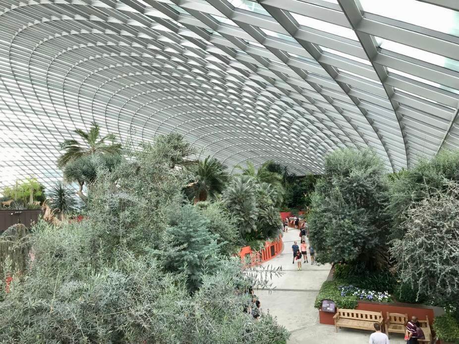 singapore-flower-dome