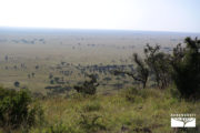 serengeti-safari-savana