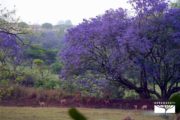 tour voyager South Africa