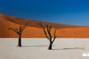 tour-safari-namibia