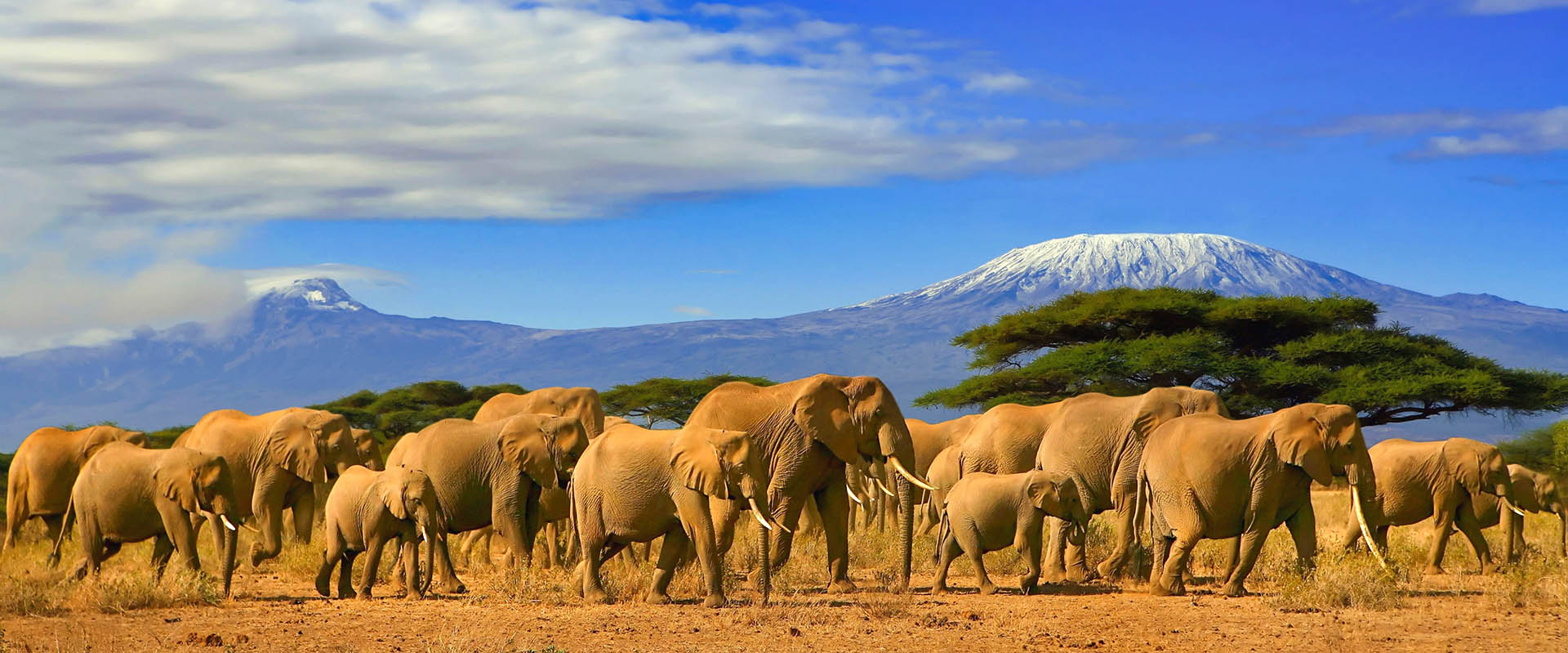 safari-kenya-amboseli