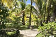tikehau-pearl-beach