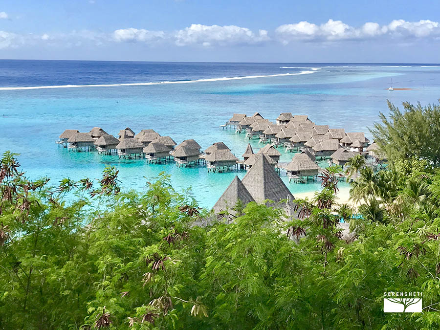 Sofitel-moorea