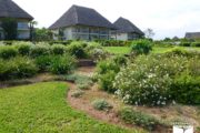 zanzibar-resort-blue-bahari