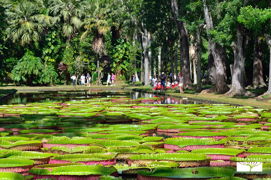 mauritius-escursioni