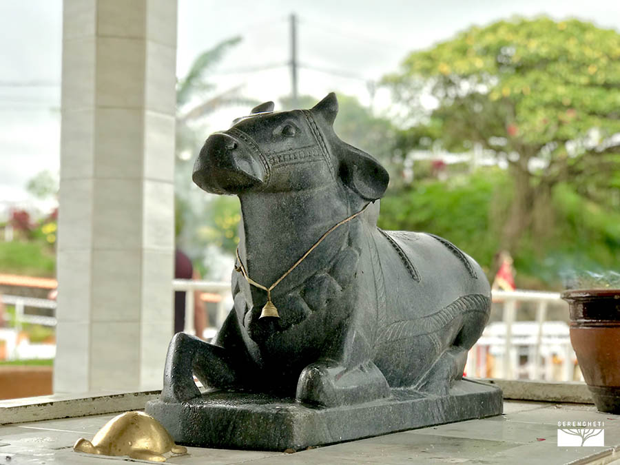 mauritius-escursioni