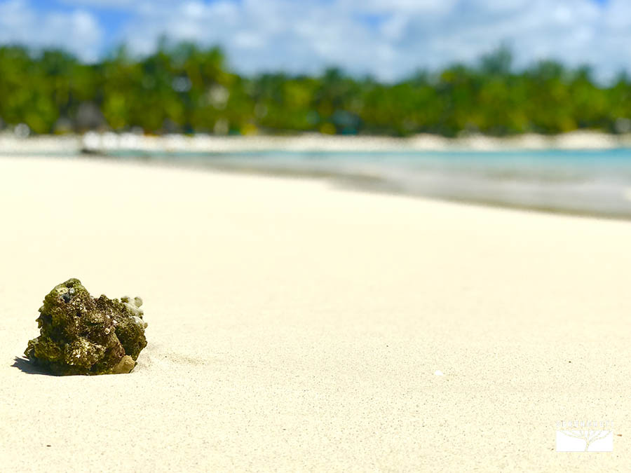 mauritius-escursioni