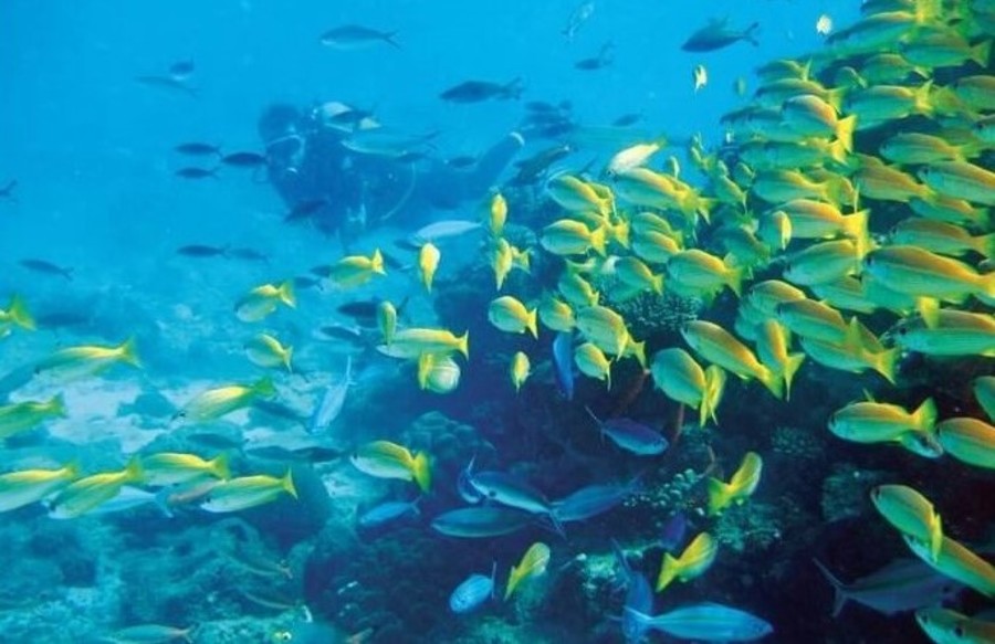 madagascar-resort-nozze