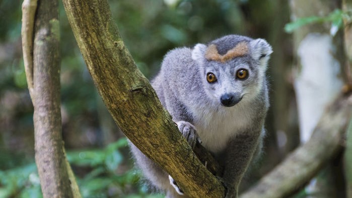 TOUR DEL NORD Madagascar TOUR DEL NORD Madagascar