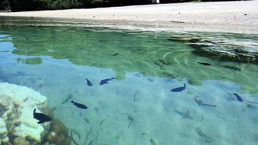 madagascar snorkeling madagascar snorkeling