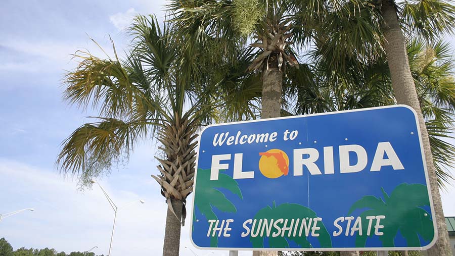 Welcome to Florida florida