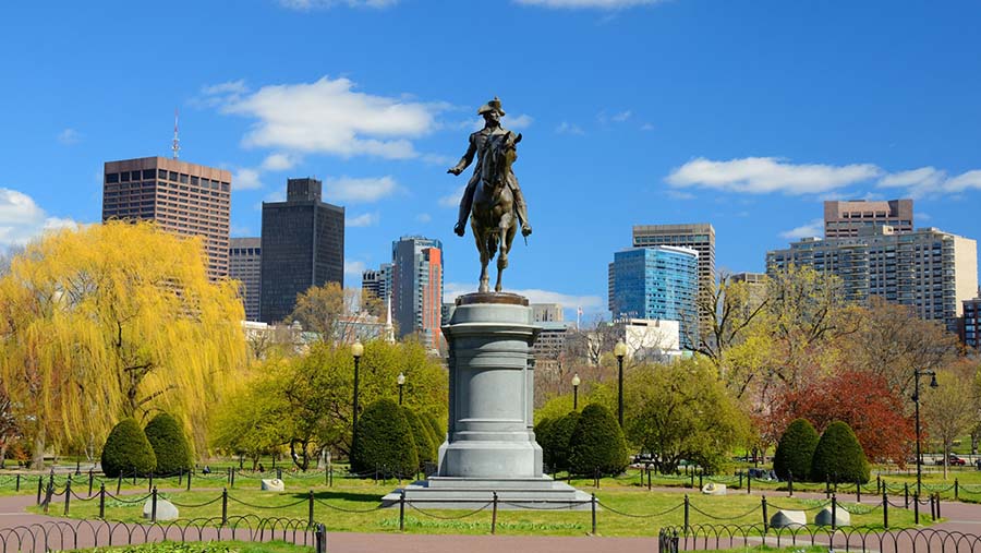 Boston Public Garden