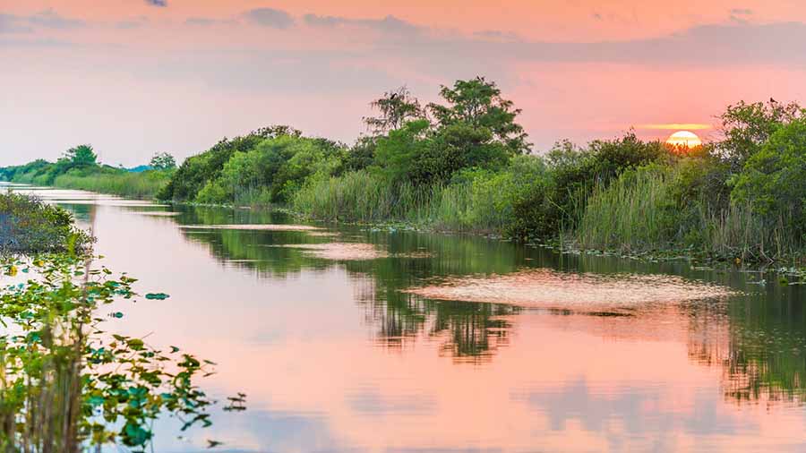 Florida Everglades Sunset Over Wetland Water Canal Landscape escursioni-da-miami
