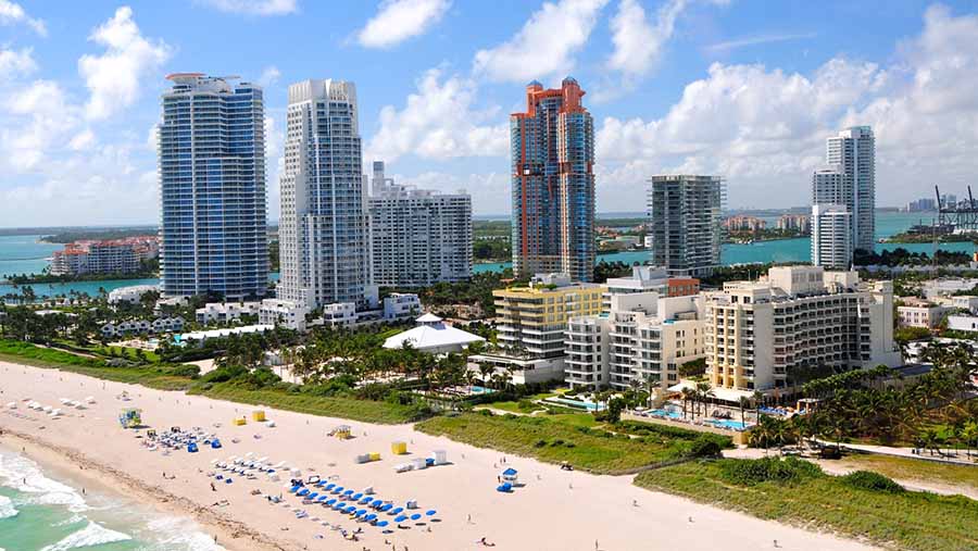 1949850 escursioni-da-miami