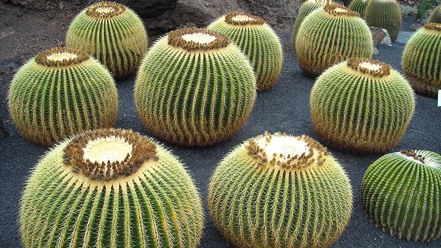 escursioni-gran-canaria
