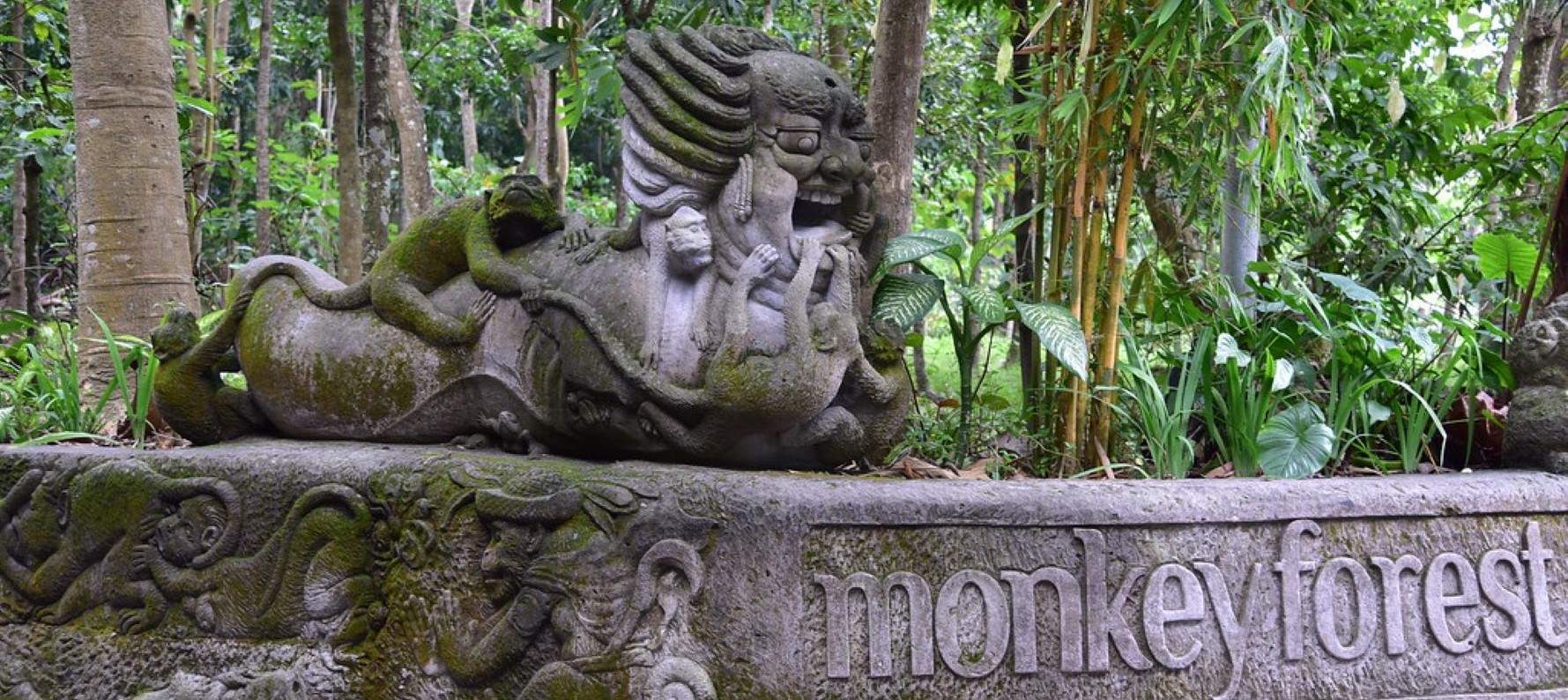 Monkey Forest
