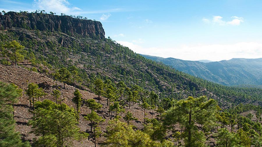 escursioni-gran-canaria