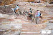 TOUR GIORDANIA 2025 - Tour Voyager Jordan - immagine 12
