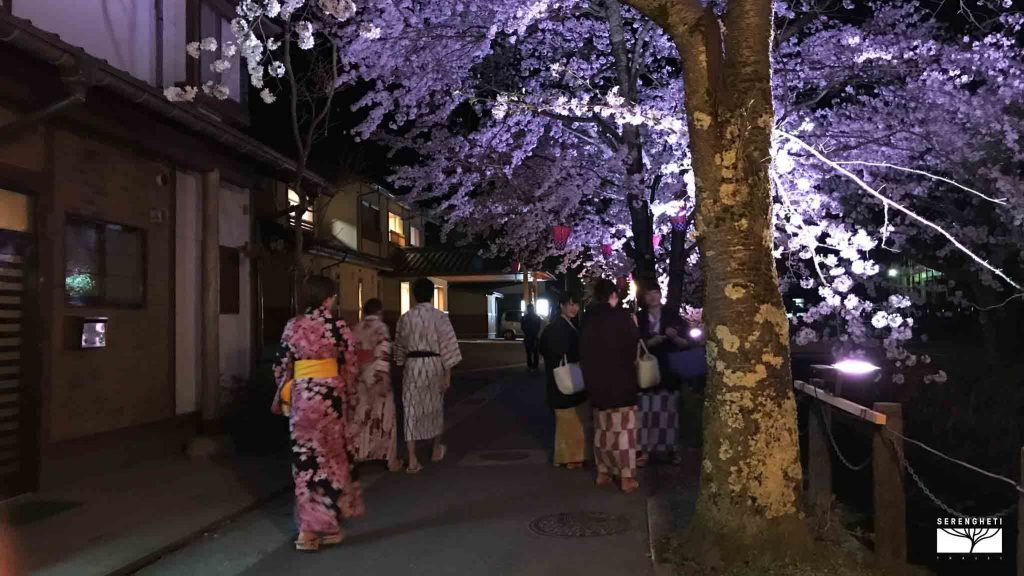 kinosaki-onsen
