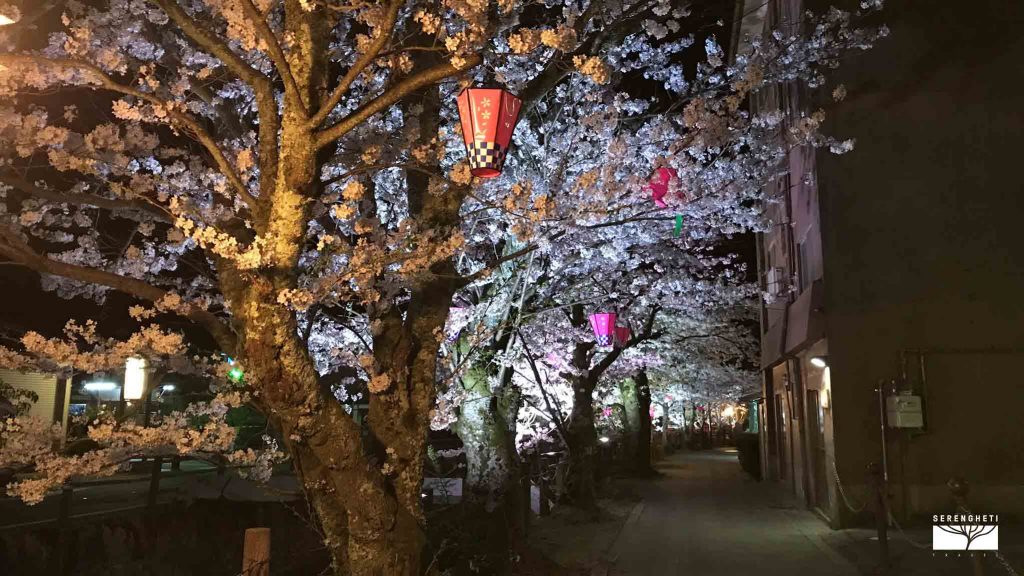 kinosaki-onsen