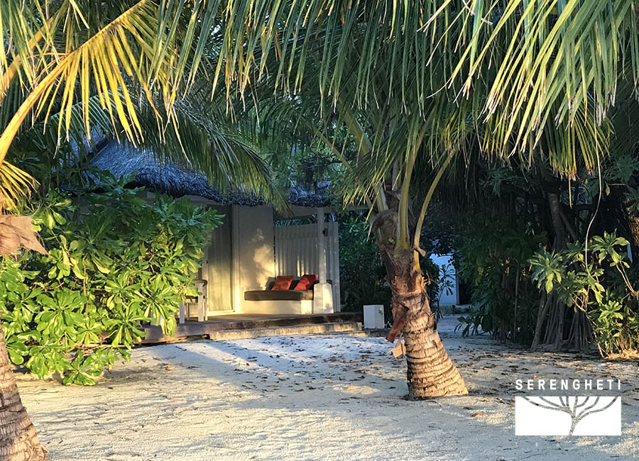 MALDIVE - Lux South Ari Atoll - immagine 5