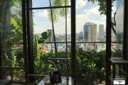 SINGAPORE - PARKROYAL COLLECTION PICKERING - immagine 13