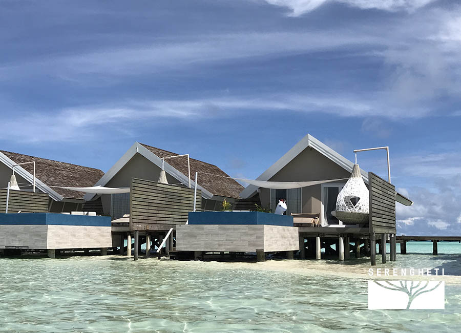 MALDIVE - Lux South Ari Atoll - immagine 12