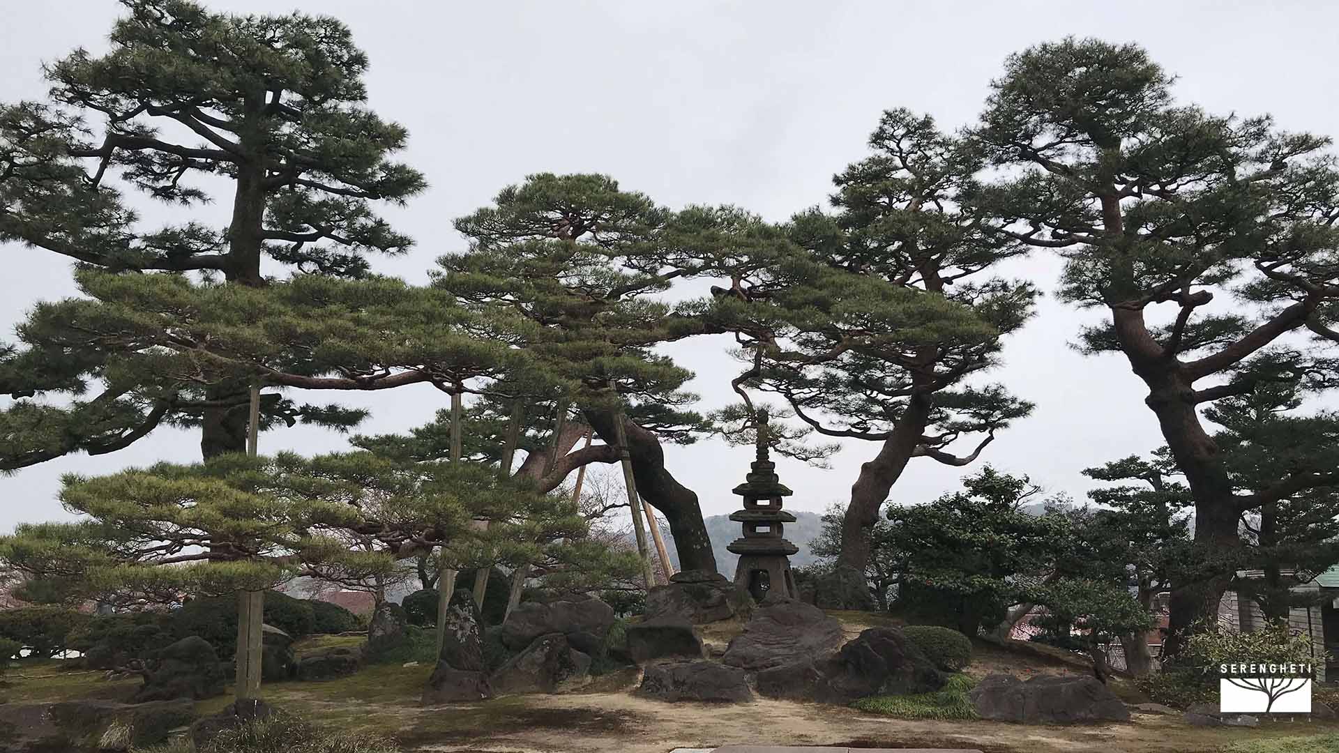 Kanazawa-Giardino-Kenrokuen