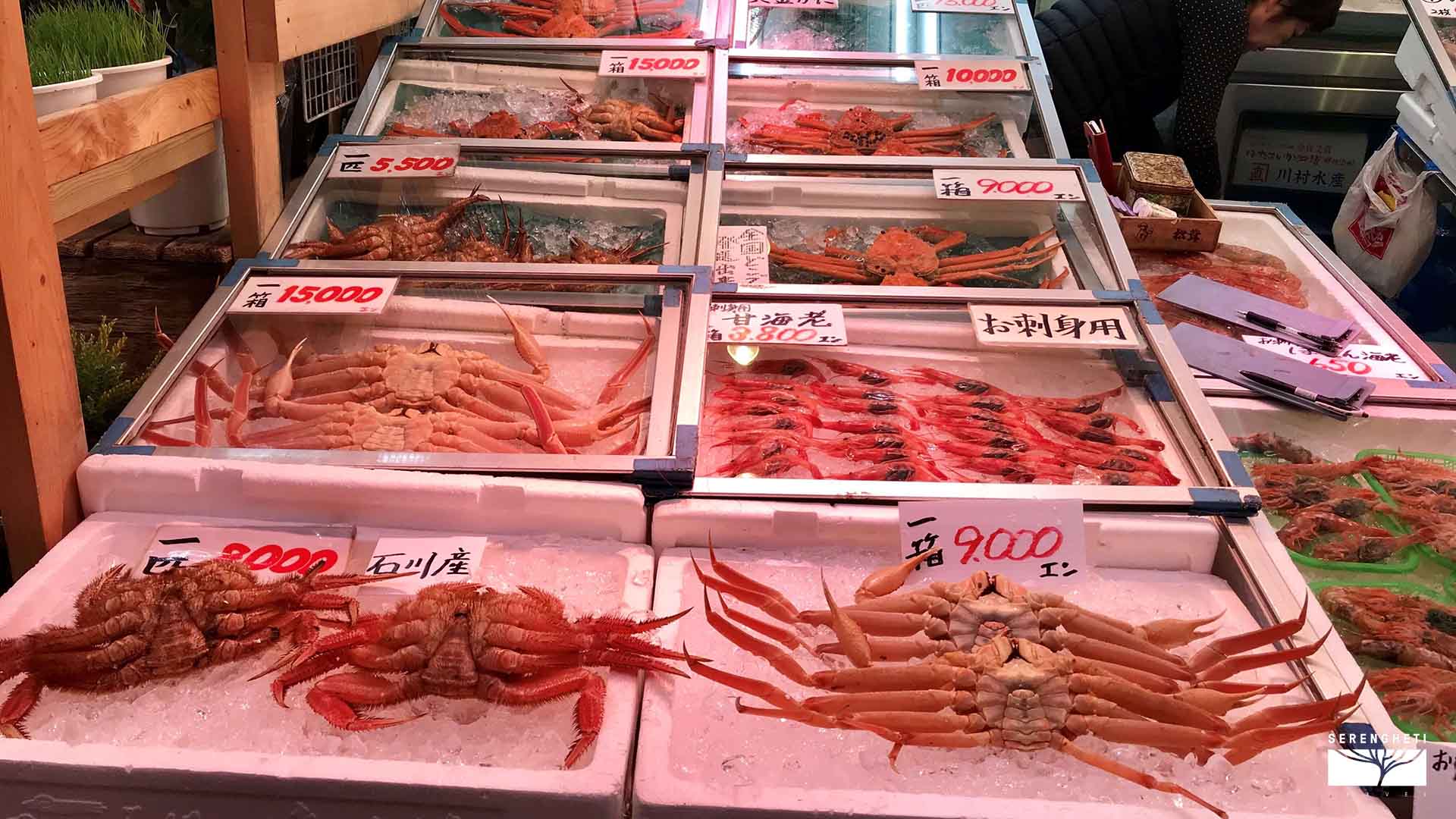 kanazawa-mercato-omicho