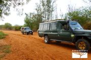 TOUR KENYA 2025 - Safari Amboseli Special & Tsavo Ovest - immagine 5