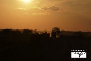TOUR KENYA 2025 - Safari Amboseli Special & Tsavo Ovest - immagine 20