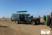TOUR KENYA 2025 - Safari Amboseli Special & Tsavo Ovest - immagine 24
