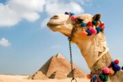 TOUR EGITTO 2025 - Tour Voyager Ramses con crociera sul Nilo - immagine 3