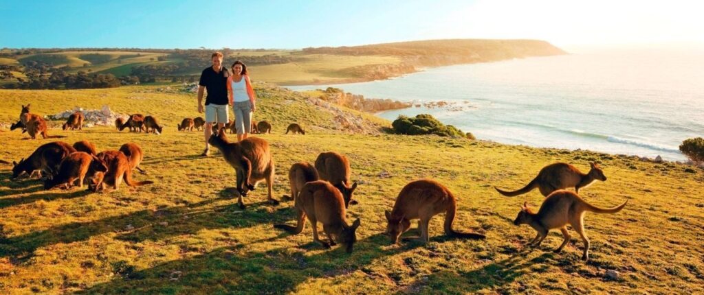 Kangaroo-Island