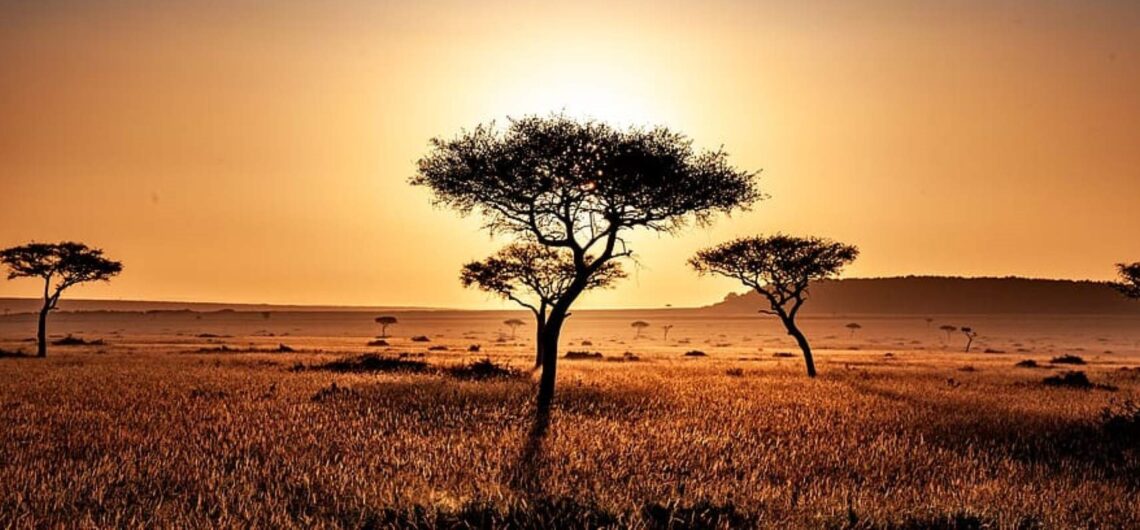 Viaggio di nozze Kenya