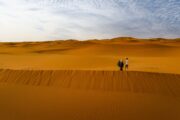 TOUR ARABIA SAUDITA 2025 - Tour Voyager Saudi e Riyadh - immagine 3