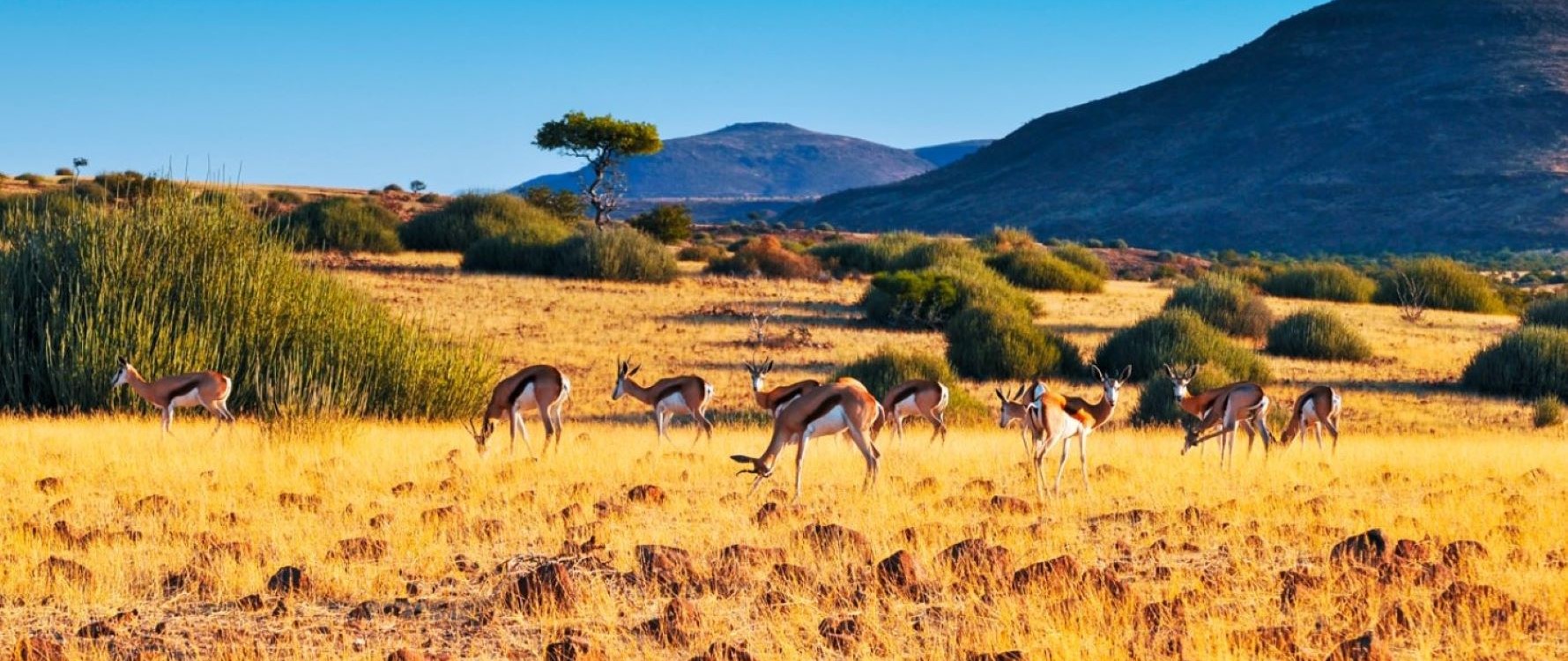 tour namibia