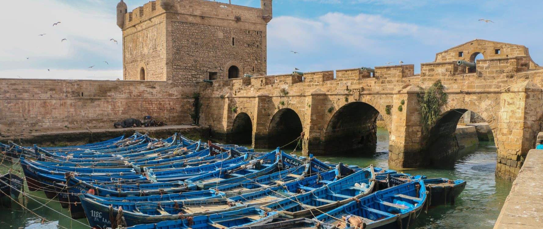 Essaouira_Citadel