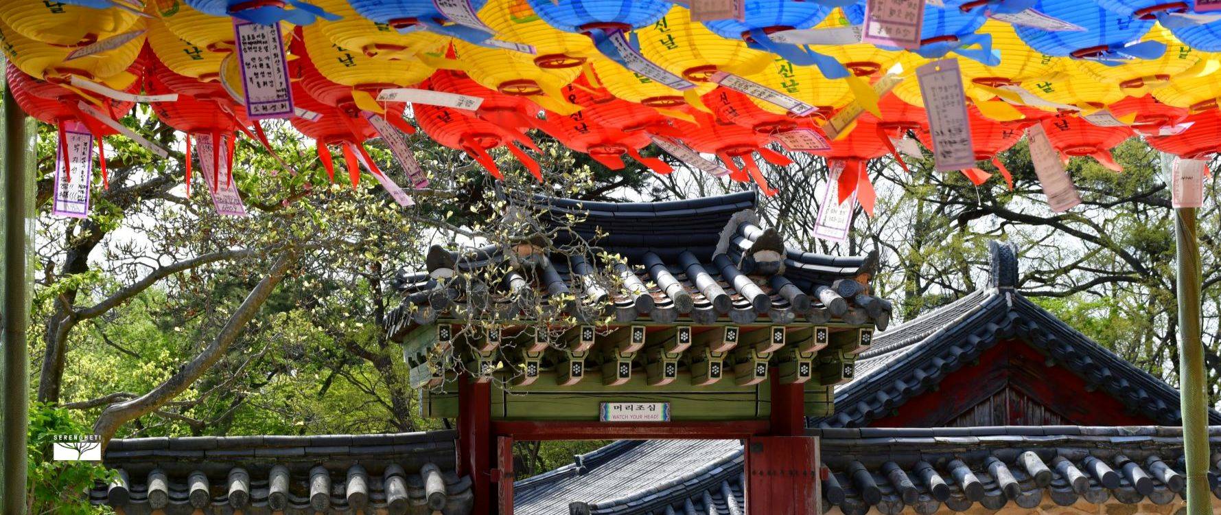 Gyeongju 2 Gyeongju