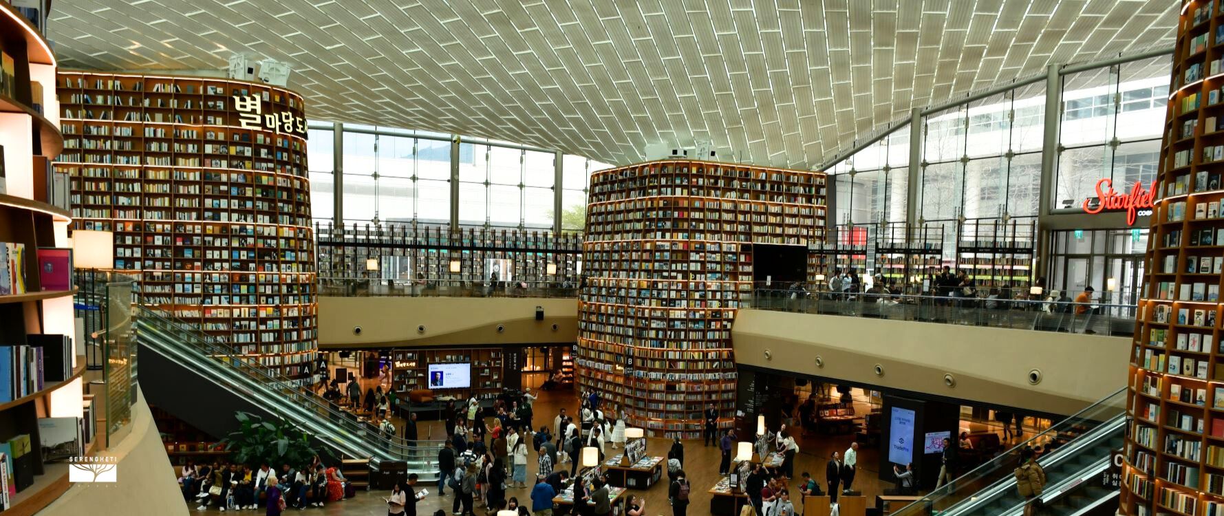 Starfield Library Starfield Library