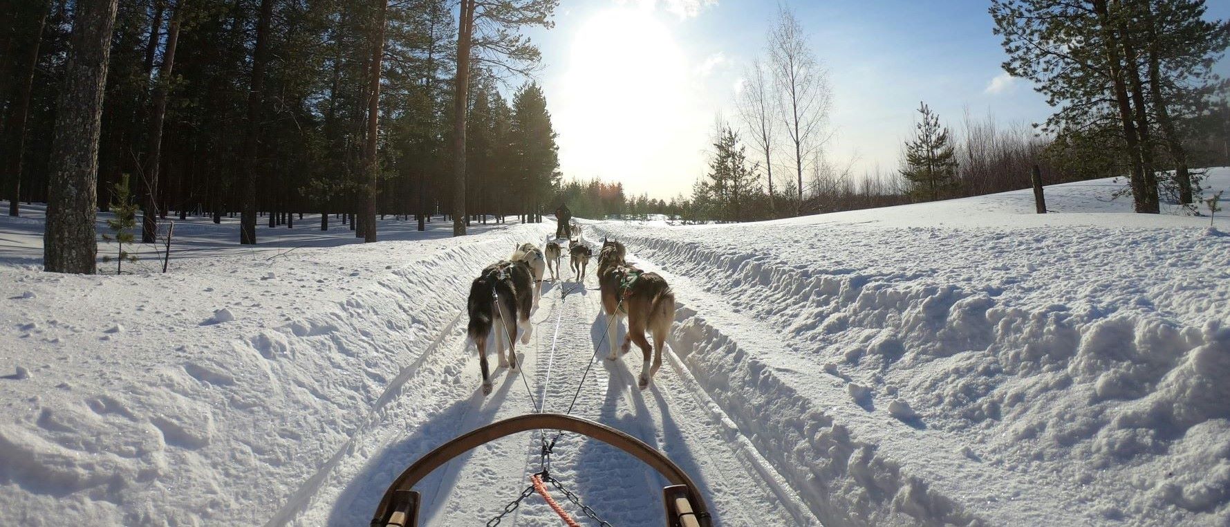 Viaggiare in Lapponia