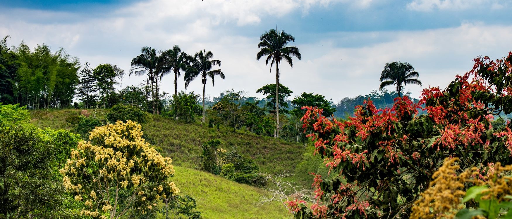 cosa vedere in colombia