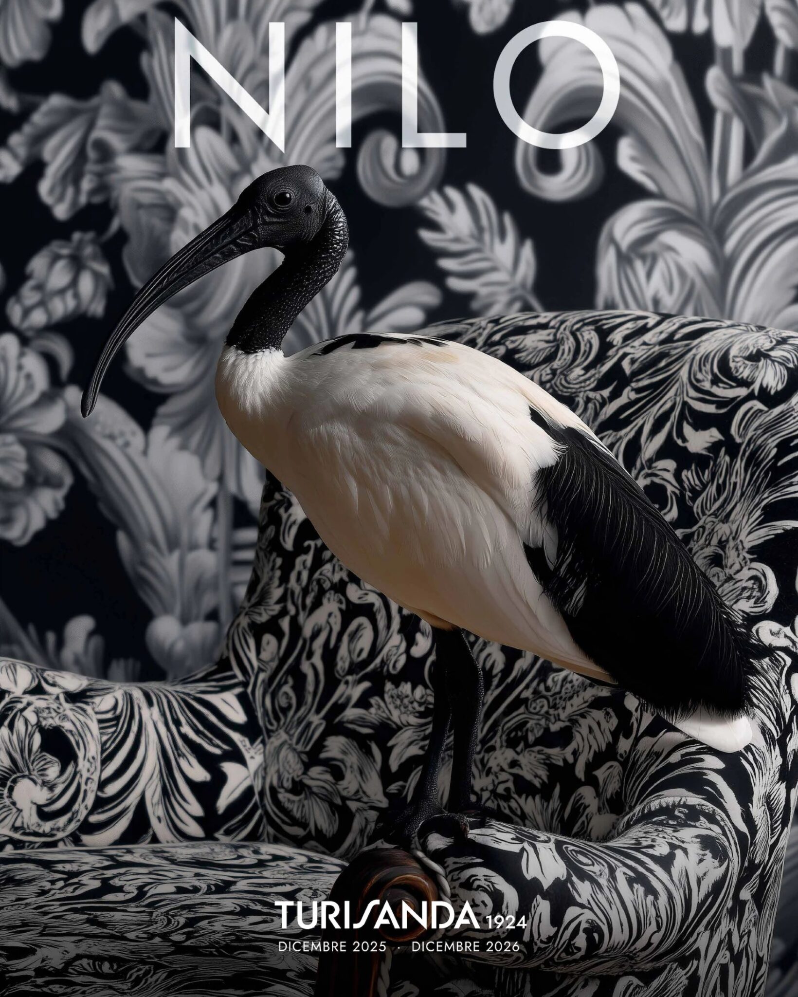 CATALOGHI TURISANDA 1924 AGGIORNATI E TUTTI DA SFOGLIARE visual data 2