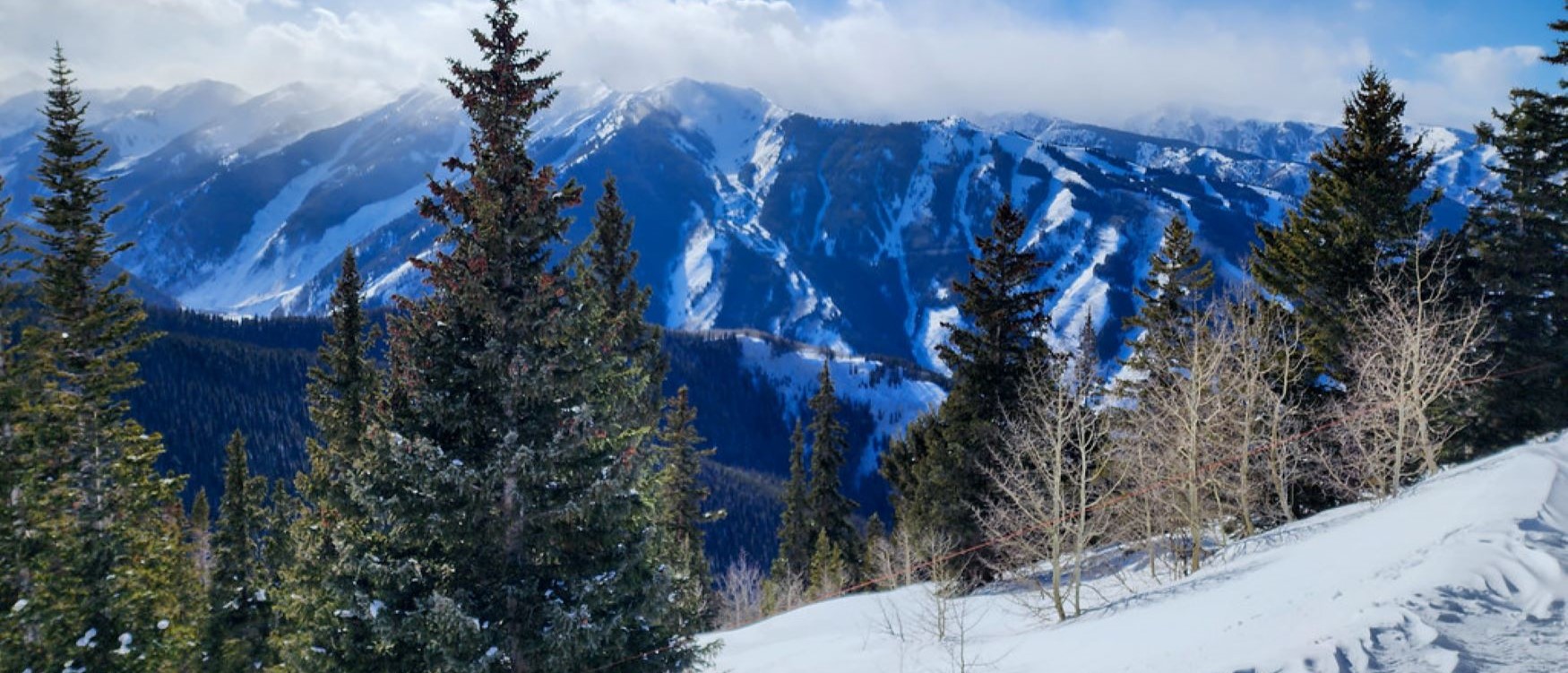 Aspen Aspen