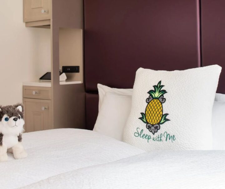 STAYPINEAPPLE HOTEL NY