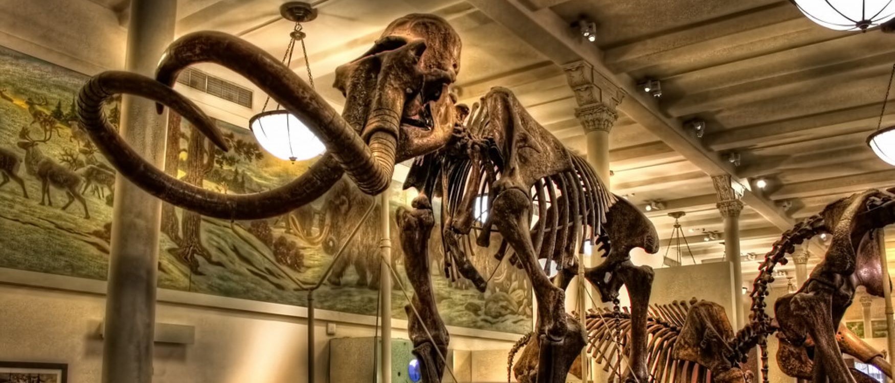 Museo di Storia Naturale