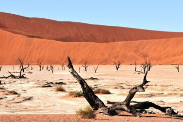 tour namibia