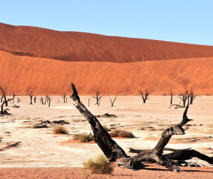 tour namibia