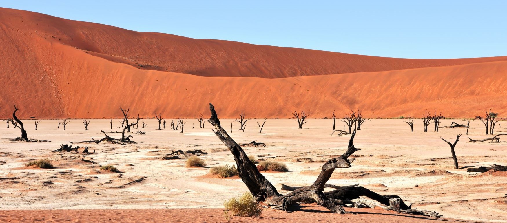 tour namibia